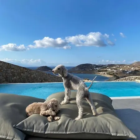 Willa Agapi, 2 Min Walk To The & Heated Pool, By Red Windmill